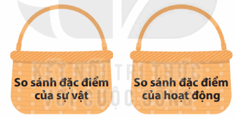 Bài 16: Ngựa biên phòng Tiếng Việt lớp 4 Kết nối tri thức