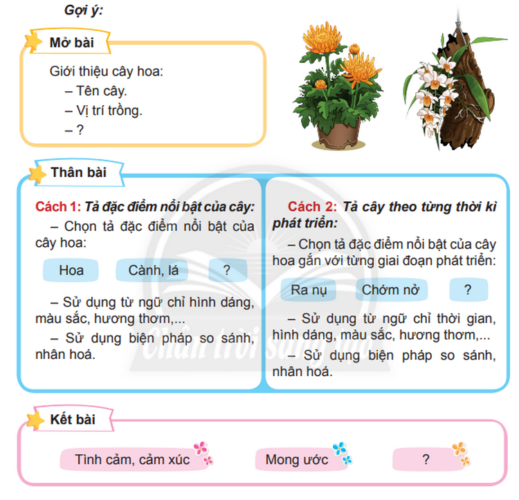 Bài 4: Buổi sáng ở Hòn Gai Tiếng Việt lớp 4 Chân trời sáng tạo