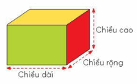 Vở bài tập Toán lớp 5 Chân trời sáng tạo Bài 75: Em làm được những gì?