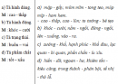 Luyện từ và câu - Luyện tập về từ trái nghĩa trang 25, 26 Vở bài tập (VBT) Tiếng Việt lớp 5 tập 1