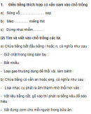 Chính tả - Tuần 5 trang 22 Vở bài tập (VBT) Tiếng Việt 3 tập 1