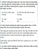 Luyện từ và câu - Tuần 10 trang 55 Vở bài tập (VBT) Tiếng Việt 3 tập 1
