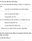 Chính tả - Tuần 12 trang 62 Vở bài tập (VBT) Tiếng Việt 3 tập 1