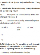 Tiết 2 - Tuần 18 trang 91 Vở bài tập (VBT) Tiếng Việt 3 tập 1
