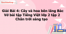 Giải Bài 4: Cây và hoa bên lăng Bác trang 65, 66, 67, 68, 69 Vở bài tập Tiếng Việt lớp 2 tập 2 - Chân trời sáng tạo
