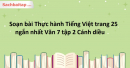 Soạn bài Thực hành Tiếng Việt trang 25 ngắn nhất Văn 7 tập 2 Cánh diều