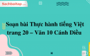 Soạn bài Thực hành tiếng Việt trang 20 – Văn 10 Cánh Diều 