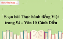 Soạn bài Thực hành tiếng Việt trang 54 – Văn 10 Cánh Diều 