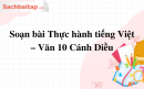 Soạn bài Thực hành tiếng Việt – Văn 10 Cánh Diều