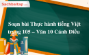 Soạn bài Thực hành tiếng Việt trang 105 – Văn 10 Cánh Diều 