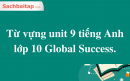 Từ vựng unit 9 tiếng Anh lớp 10 Global Success
