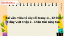 Bài văn miêu tả cây cối trang 11, 12 SGK Tiếng Việt 4 tập 2 - Chân trời sáng tạo