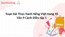 Soạn bài Thực hành tiếng Việt trang 45 Văn 9 Cánh Diều tập 1