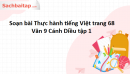 Soạn bài Thực hành tiếng Việt trang 68 Văn 9 Cánh Diều tập 1