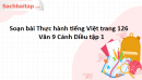 Soạn bài Thực hành tiếng Việt trang 126 Văn 9 Cánh Diều tập 1