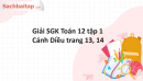 Giải SGK Toán 12 tập 1 Cánh Diều trang 13, 14