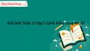 Giải SGK Toán 12 tập 1 Cánh Diều trang 80, 81