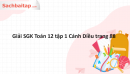 Giải SGK Toán 12 tập 1 Cánh Diều trang 88