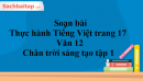 Soạn bài Thực hành Tiếng Việt trang 17 Văn 12 Chân trời sáng tạo tập 1