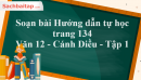 Soạn bài Hướng dẫn tự học trang 134 Văn 12 Cánh Diều tập 1