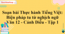 Soạn bài Thực hành Tiếng Việt: Biện pháp tu từ nghịch ngữ Văn 12 Cánh Diều tập 1