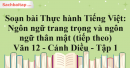 Soạn bài Thực hành Tiếng Việt: Ngôn ngữ trang trọng và ngôn ngữ thân mật (tiếp theo) - Văn 12 Cánh Diều tập 1