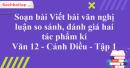 Soạn bài Viết bài văn nghị luận so sánh, đánh giá hai tác phẩm kí - Văn 12 Cánh Diều tập 1