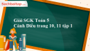 Giải SGK Toán 5 Cánh Diều trang 10, 11 tập 1