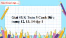 Giải SGK Toán 5 Cánh Diều trang 12, 13, 14 tập 1