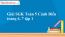 Giải SGK Toán 5 Cánh Diều trang 6, 7 tập 1