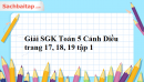 Giải SGK Toán 5 Cánh Diều trang 17, 18, 19 tập 1