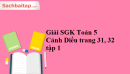 Giải SGK Toán 5 Cánh Diều trang 31, 32 tập 1