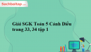 Giải SGK Toán 5 Cánh Diều trang 33, 34 tập 1