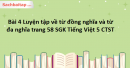 Bài 4 Luyện tập về từ đồng nghĩa và từ đa nghĩa trang 58 SGK Tiếng Việt 5 Chân trời sáng tạo tập 1