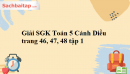 Giải SGK Toán 5 Cánh Diều trang 46, 47, 48 tập 1