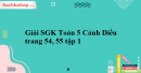 Giải SGK Toán 5 Cánh Diều trang 54, 55 tập 1