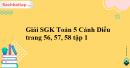 Giải SGK Toán 5 Cánh Diều trang 56, 57, 58 tập 1