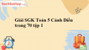 Giải SGK Toán 5 Cánh Diều trang 70 tập 1