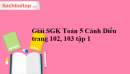 Giải SGK Toán 5 Cánh Diều trang 102, 103 tập 1