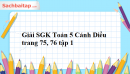 Giải SGK Toán 5 Cánh Diều trang 75, 76 tập 1