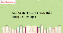 Giải SGK Toán 5 Cánh Diều trang 78, 79 tập 1