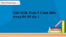 Giải SGK Toán 5 Cánh Diều trang 84, 85 tập 1