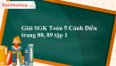 Giải SGK Toán 5 Cánh Diều trang 88, 89 tập 1