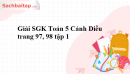 Giải SGK Toán 5 Cánh Diều trang 97, 98 tập 1