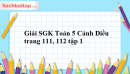 Giải SGK Toán 5 Cánh Diều trang 111, 112 tập 1