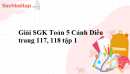 Giải SGK Toán 5 Cánh Diều trang 117, 118 tập 1