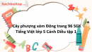 Cây phượng xóm Đông trang 96 SGK Tiếng Việt lớp 5 Cánh Diều tập 1 