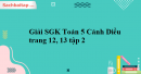 Giải SGK Toán 5 Cánh Diều trang 12, 13 tập 2