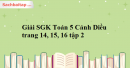 Giải SGK Toán 5 Cánh Diều trang 14, 15, 16 tập 2