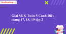 Giải SGK Toán 5 Cánh Diều trang 17, 18, 19 tập 2